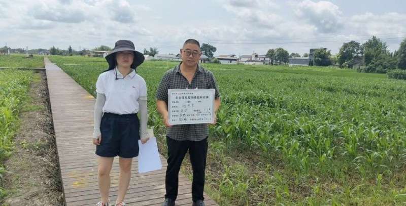 特色农险再添“新成员”！德阳人保财险首单高粱种植保险落地