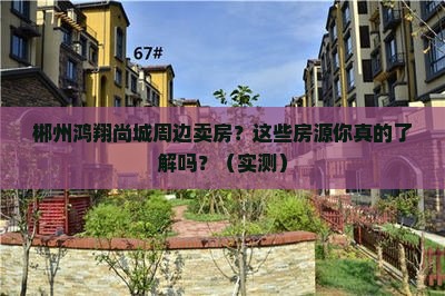 郴州鸿翔尚城周边卖房
