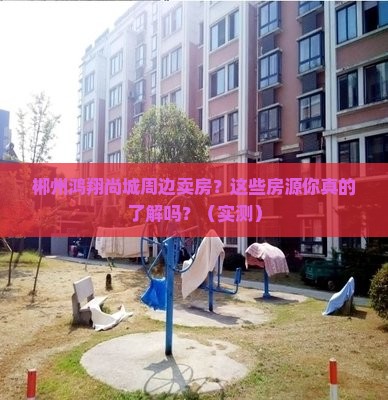 郴州鸿翔尚城周边卖房