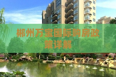 郴州万宝国际购房政策详解
