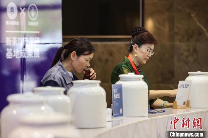 贵州遵义：茶产业奔上新赛道 新式茶饮成新的增长极