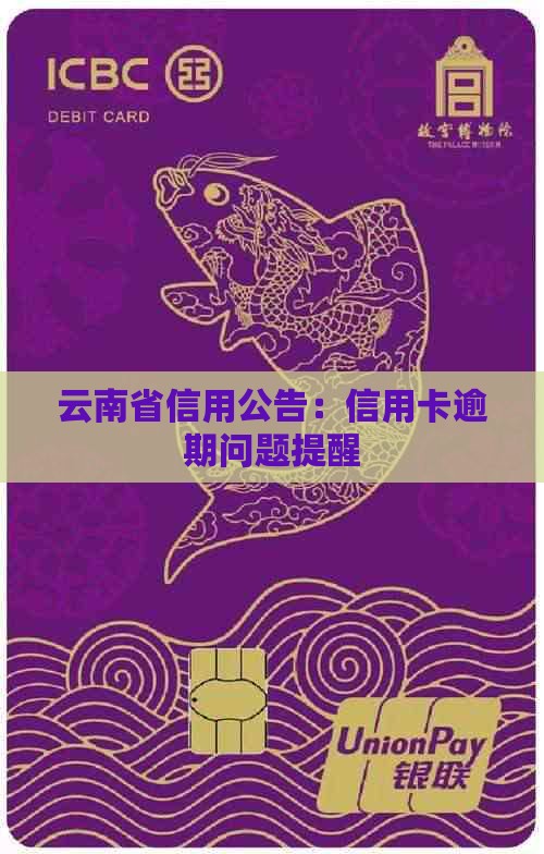 云南省信用公告：信用卡逾期问题提醒