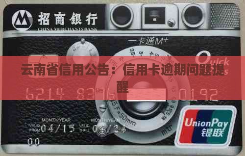 云南省信用卡逾期