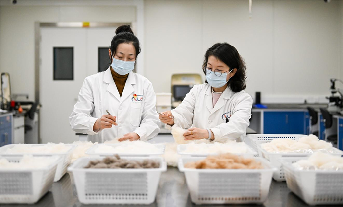 科技创新促发展