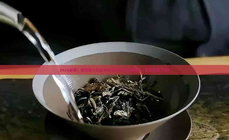 小白怎么学普洱茶的知识