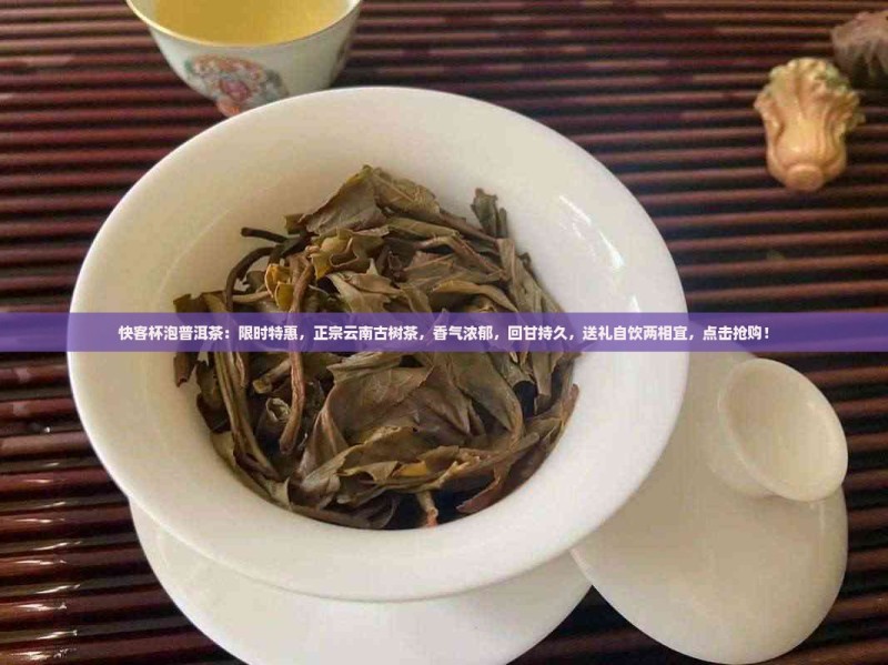 快客杯泡普洱茶 快客杯泡普洱茶