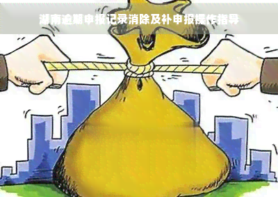 湖南逾期申报记录消除及补申报操作指导