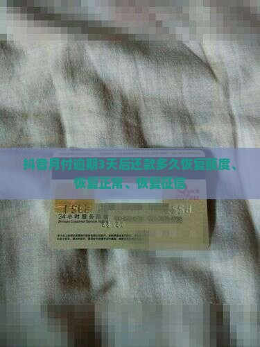 抖音月付逾期3天后还款多久恢复