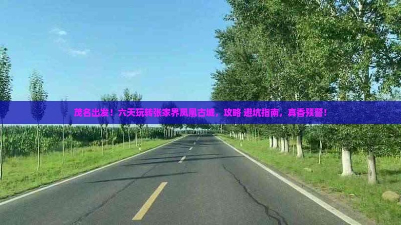 茂名到张家界凤凰古城六日游 茂名到张家界凤凰古城六日游