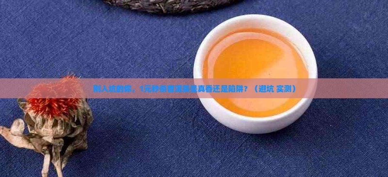 普洱茶直播一元秒杀