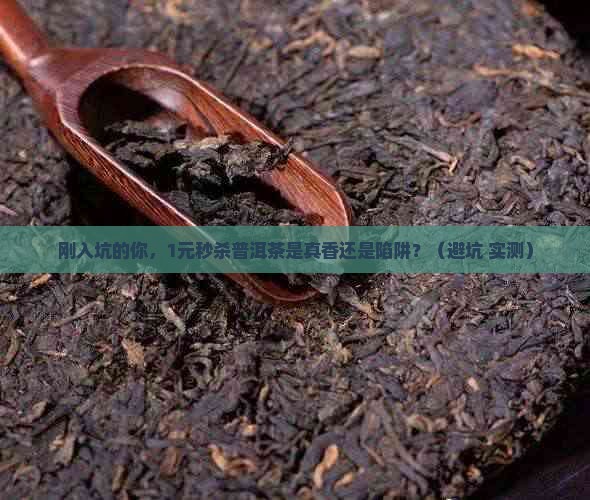 普洱茶直播一元秒杀