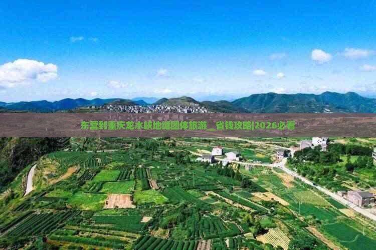 东营到重庆龙水峡地缝团体旅游