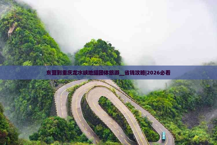 东营到重庆龙水峡地缝团体旅游__省钱攻略｜2026必看
