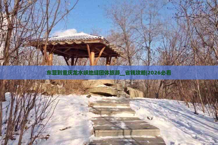 东营到重庆龙水峡地缝团体旅游