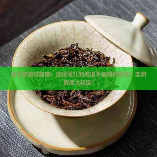 普洱茶避坑指南:这玩意儿到底值不值得你砸钱?实测真像大起底!