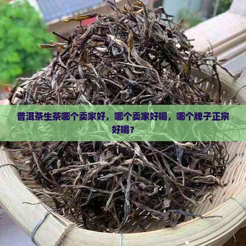 普洱茶生茶哪个卖家好