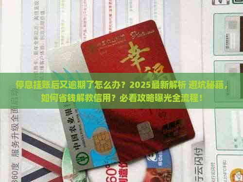 停息挂帐后又逾期了怎么办