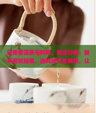 云南普洱茶毛料网